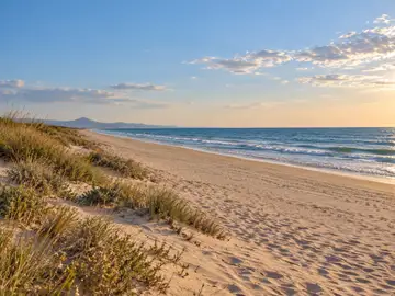 Playa de Oliva