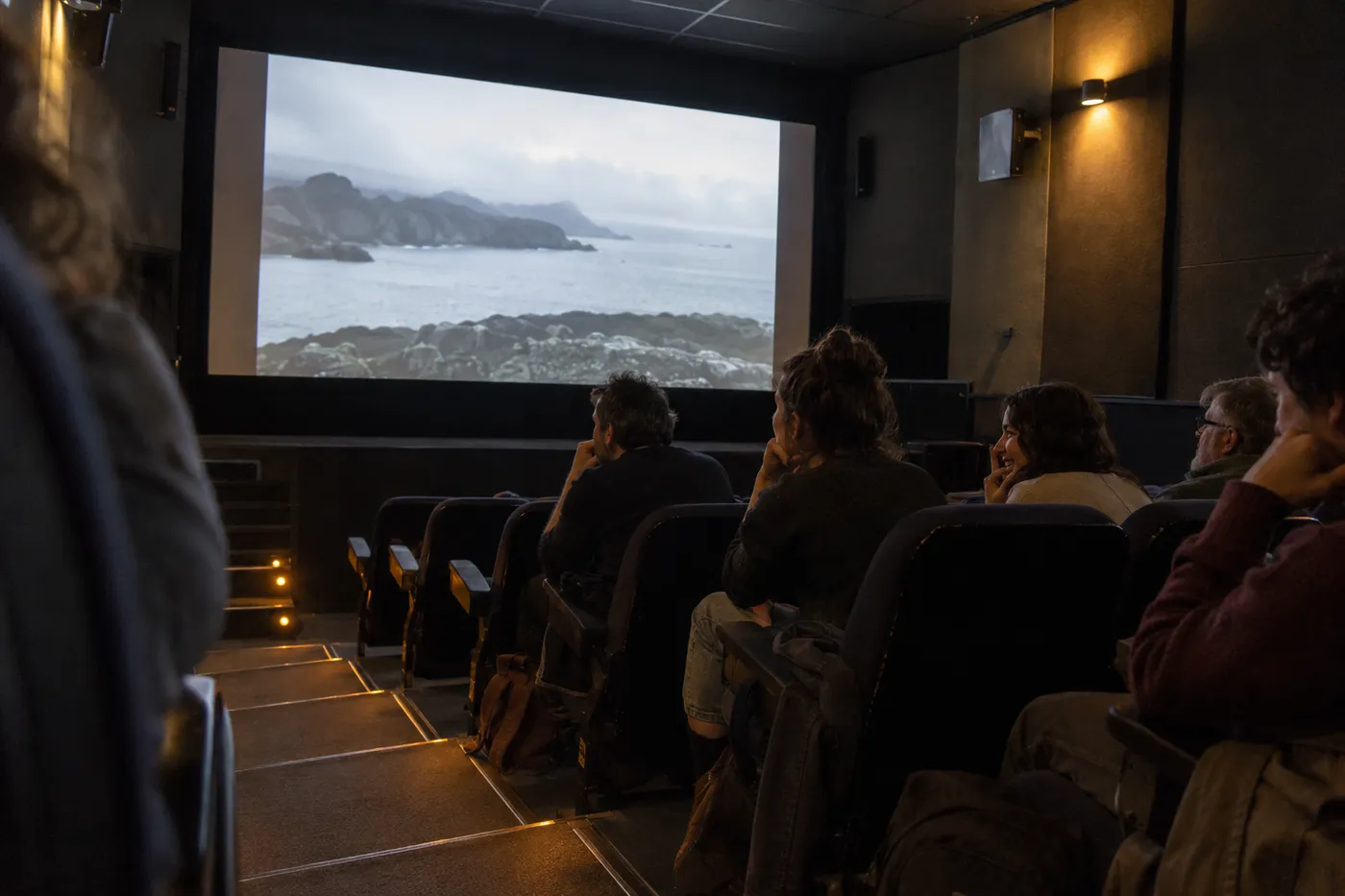 Cine Club Babel