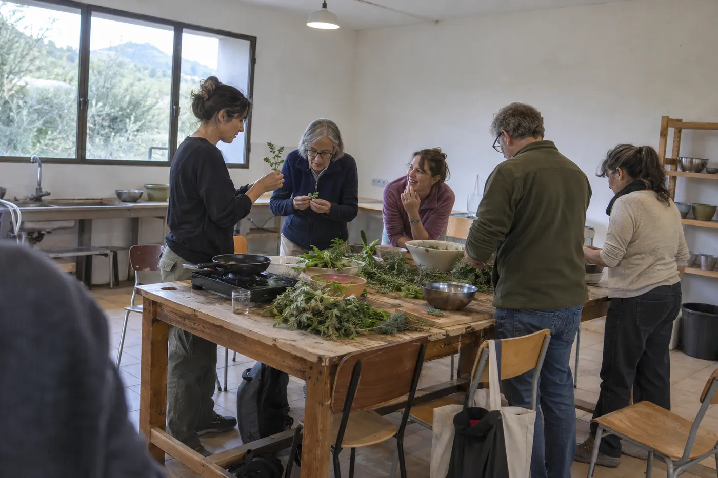 Taller de hierbas comestibles