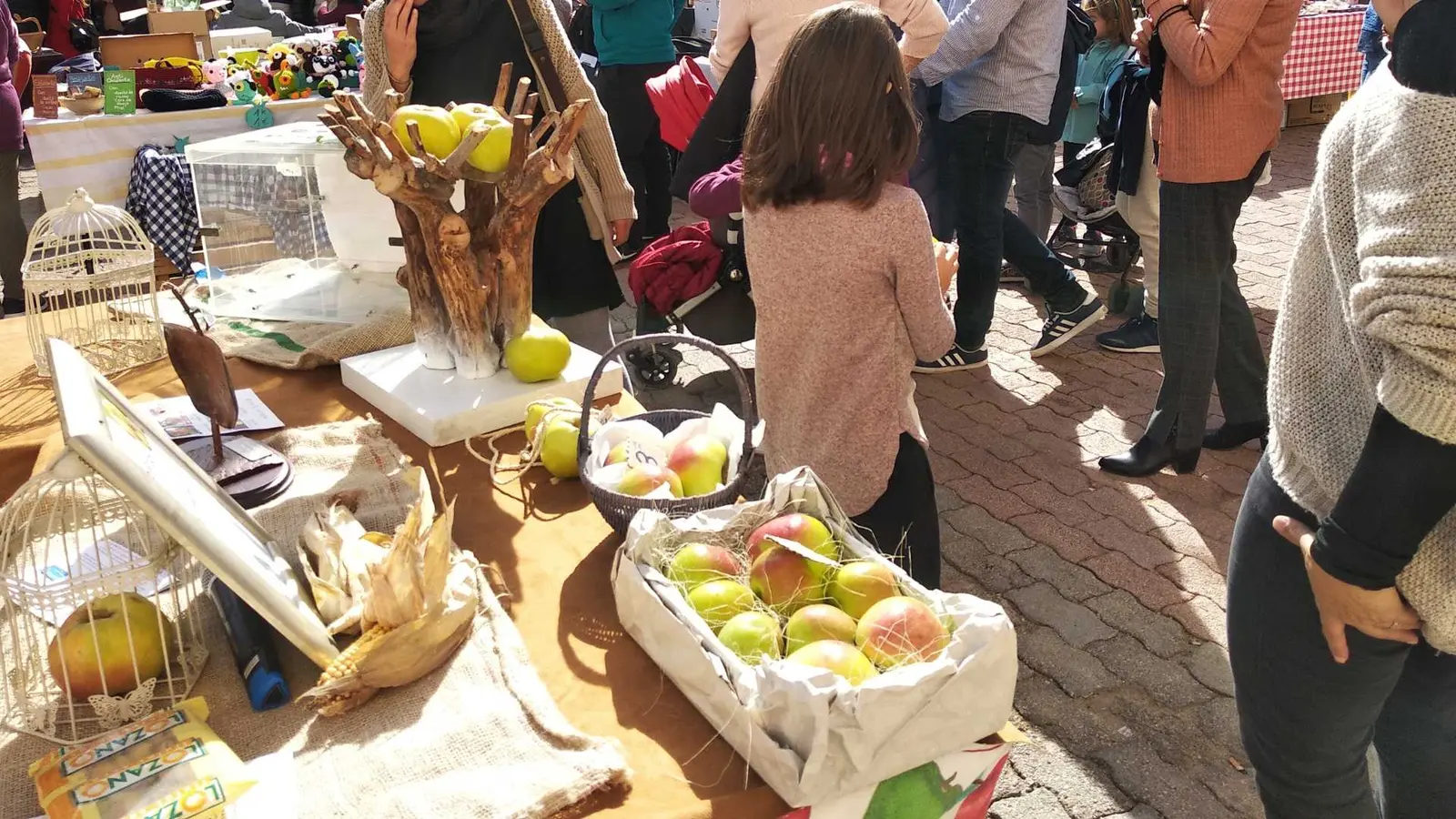 XII Feria de la Manzana Esperiega en Casas Bajas