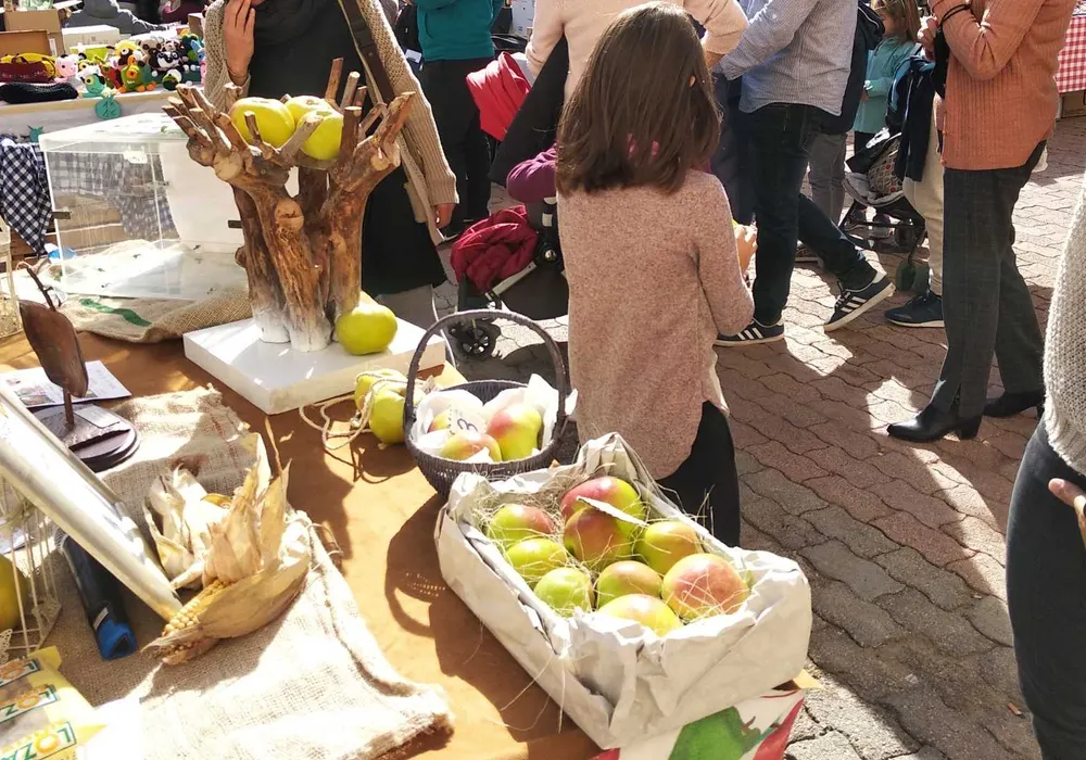 XII Feria de la Manzana Esperiega en Casas Bajas
