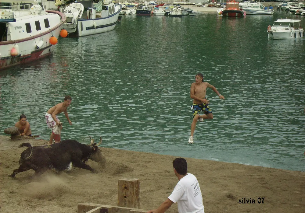 Bous a la Mar (Fiestas de la Santíssima Sang)