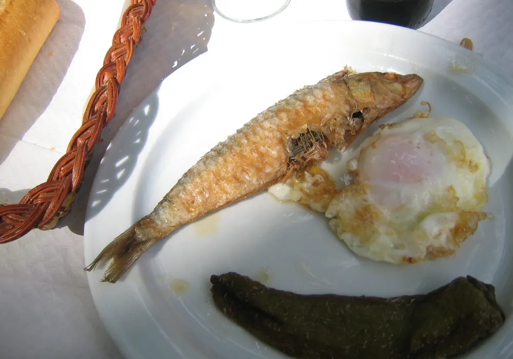 Fira d'Agost de Xàtiva (Feria de Agosto)