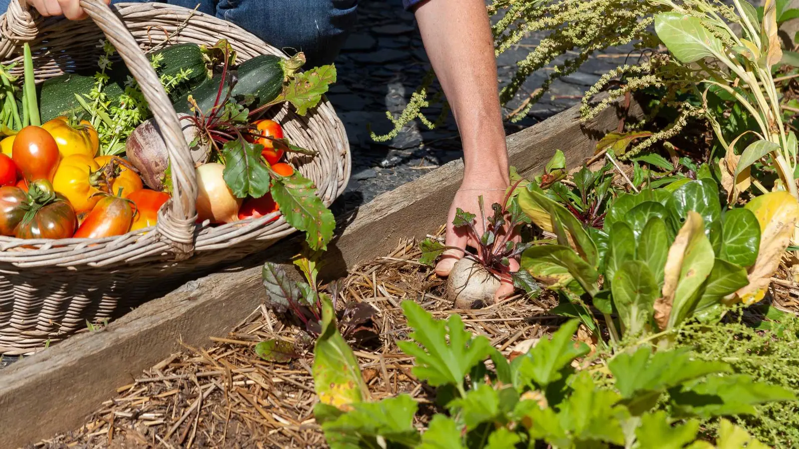 Universitat d’Estiu de L’Horta
