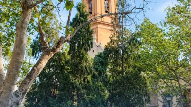 Campanar Obert 2026