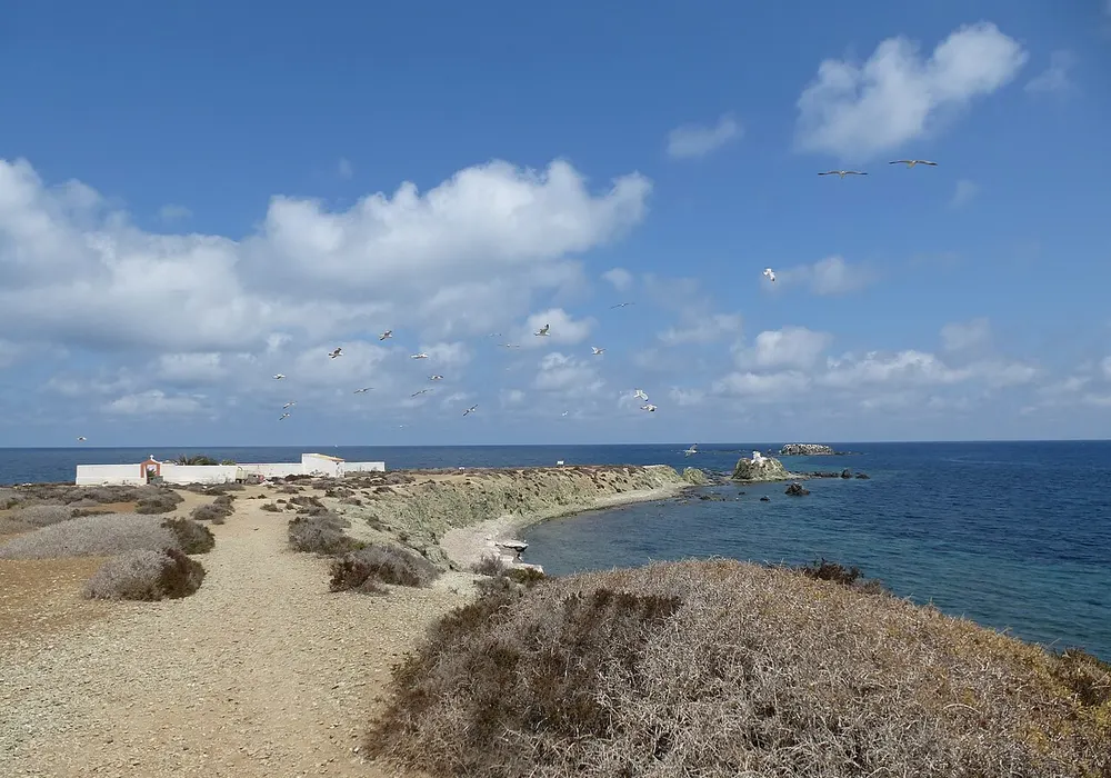 Travesía a nado Tabarca-Santa Pola 2026