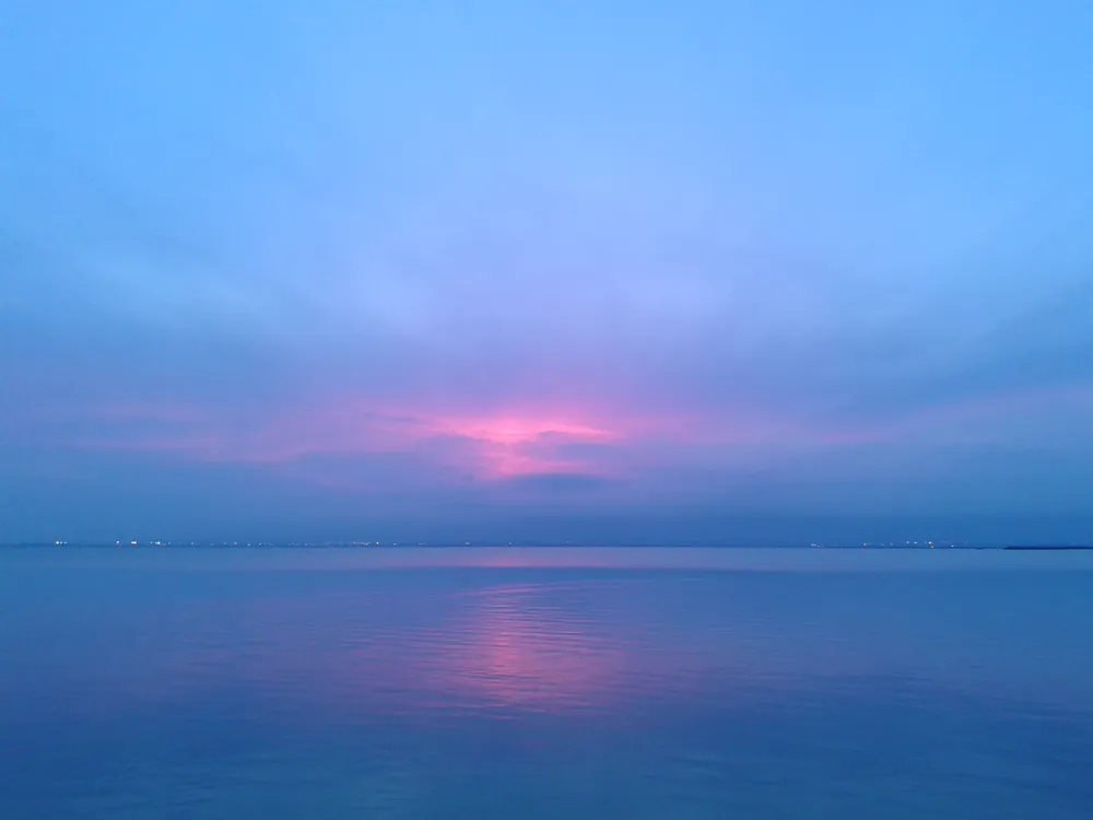 Paseo en barca por la Albufera