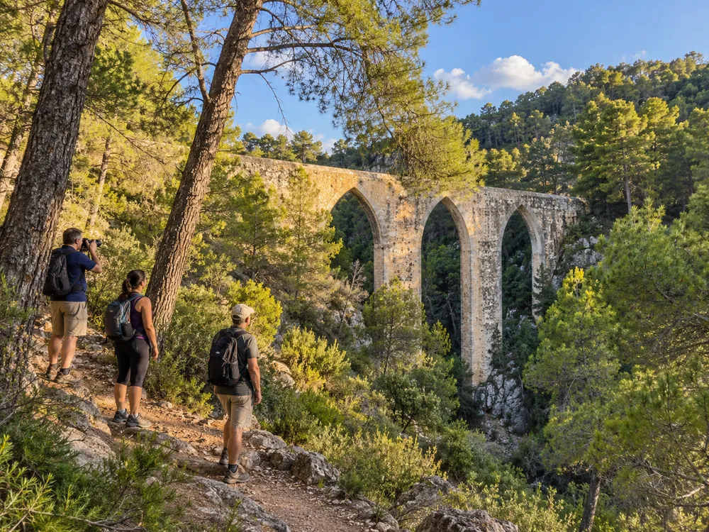 Acueducto de la Cartuja de Portacoeli