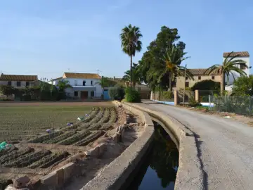 L'Horta i els camps de xufa d'Alboraia