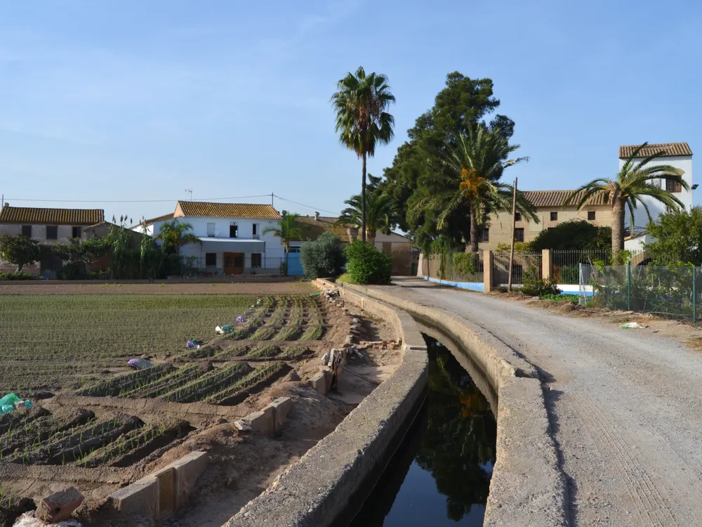 L'Horta i els camps de xufa d'Alboraia