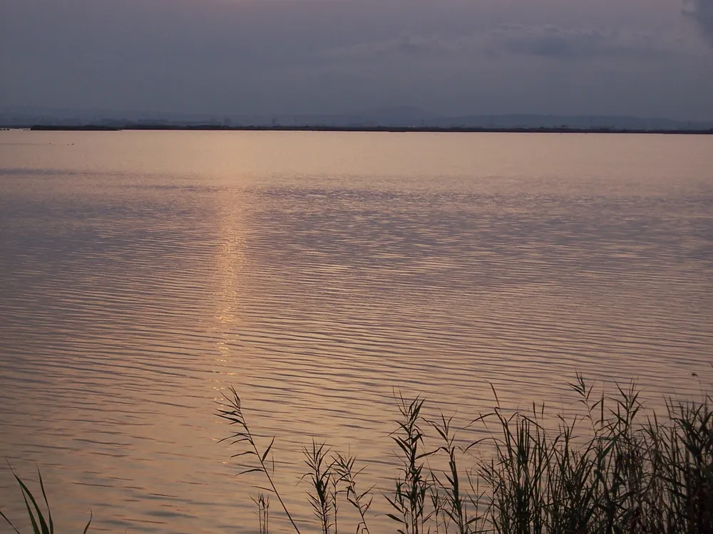 Parque Natural de la Albufera y El Saler