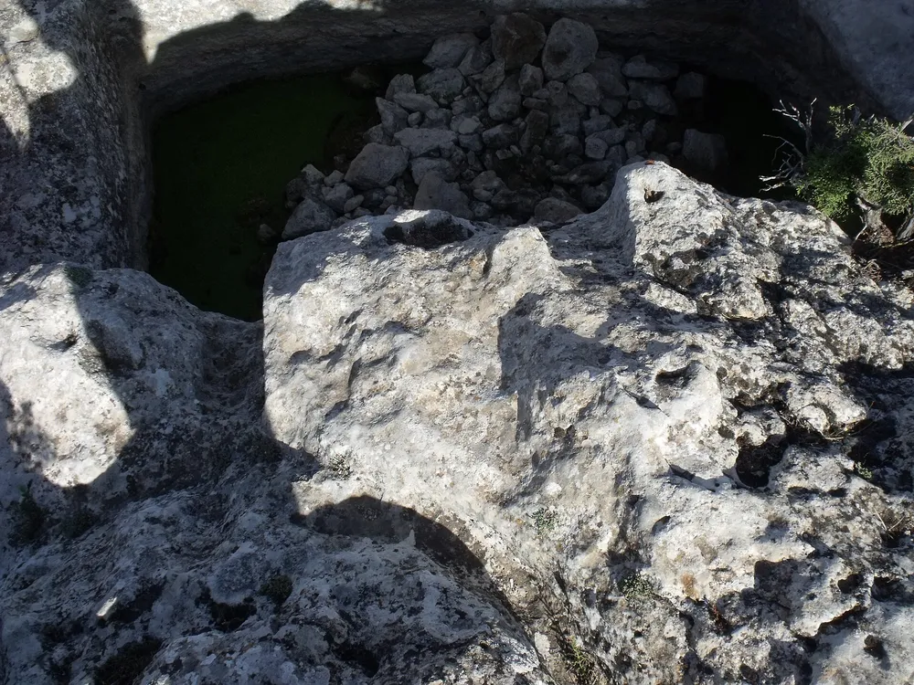 Castellar de Meca