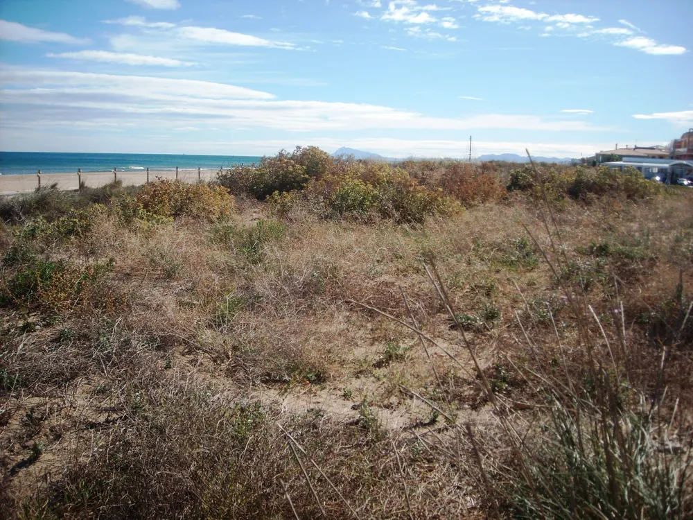 Dunes de Xeraco