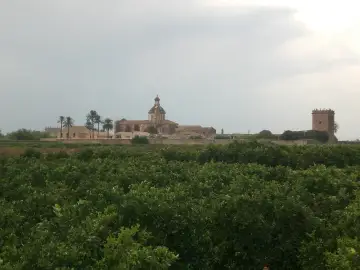 Cartuja de Ara Christi