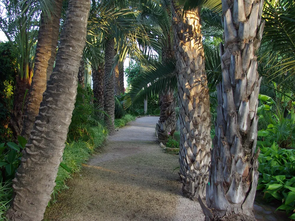 Huerto del Cura