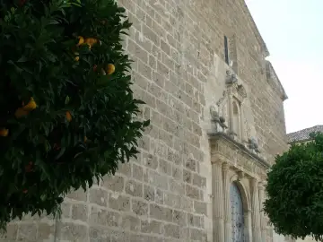 Iglesia de la Asunción (Albaida)