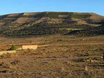 Muela de Ares