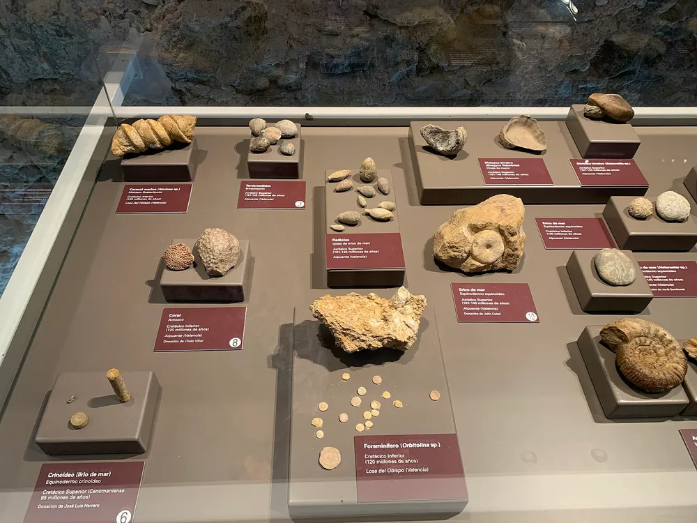 Museo Paleontológico de Alpuente (MUPAL)