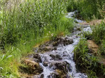 Nacimiento del Vinalopó (Font de la Coveta)