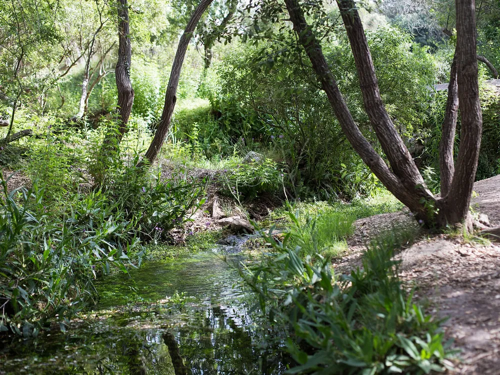 Nacimiento del Vinalopó (Font de la Coveta)