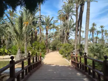 Parc d'El Palmeral