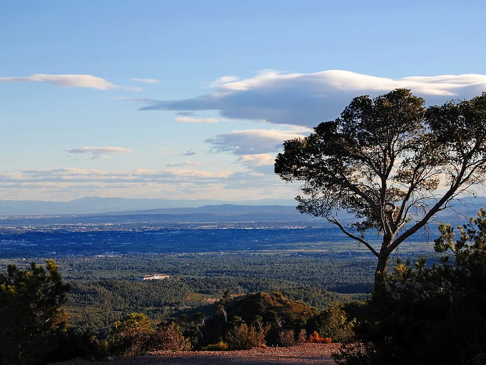 Parque Natural del Turia