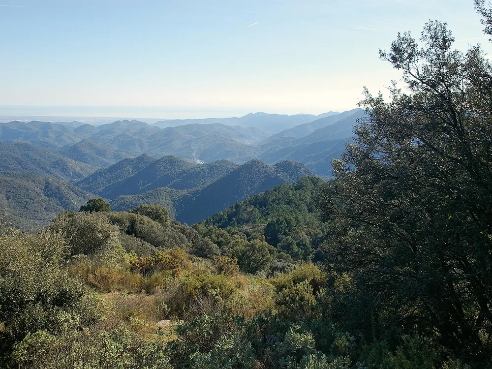 Pico de la Rápita