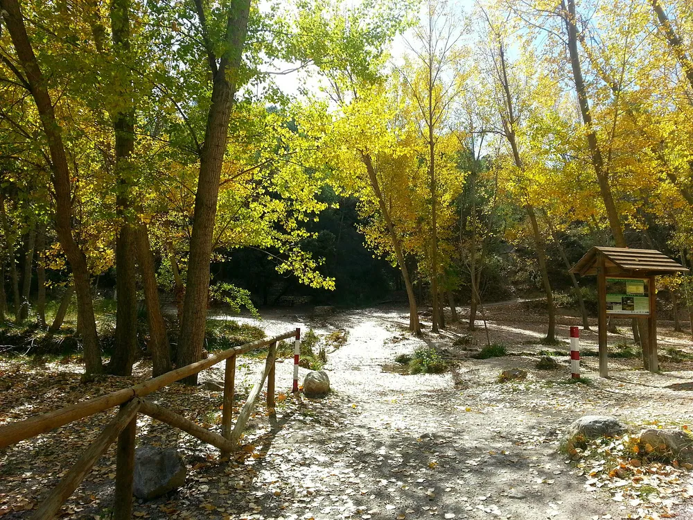Racó de Sant Bonaventura