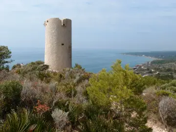 Torre Badum