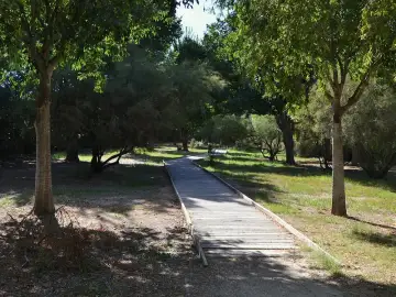 Marjal de la Safor