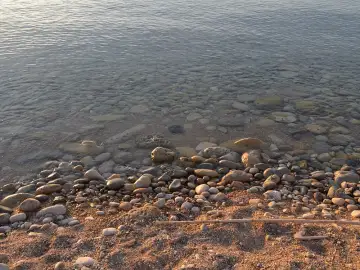 Cala Sardinera