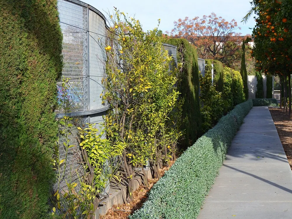 Jardí de les Hespèrides