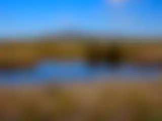El humedal salvaje que nadie mira