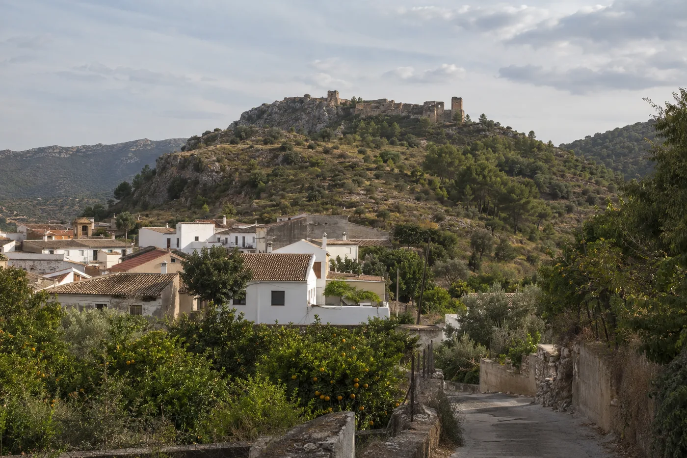 Corbera