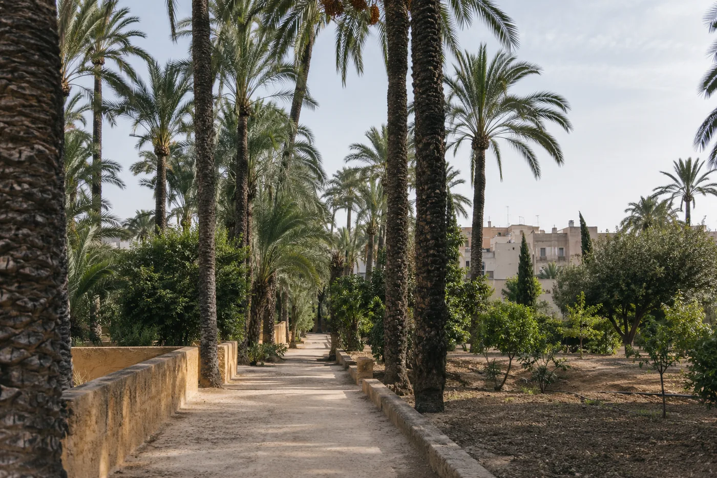 Elche