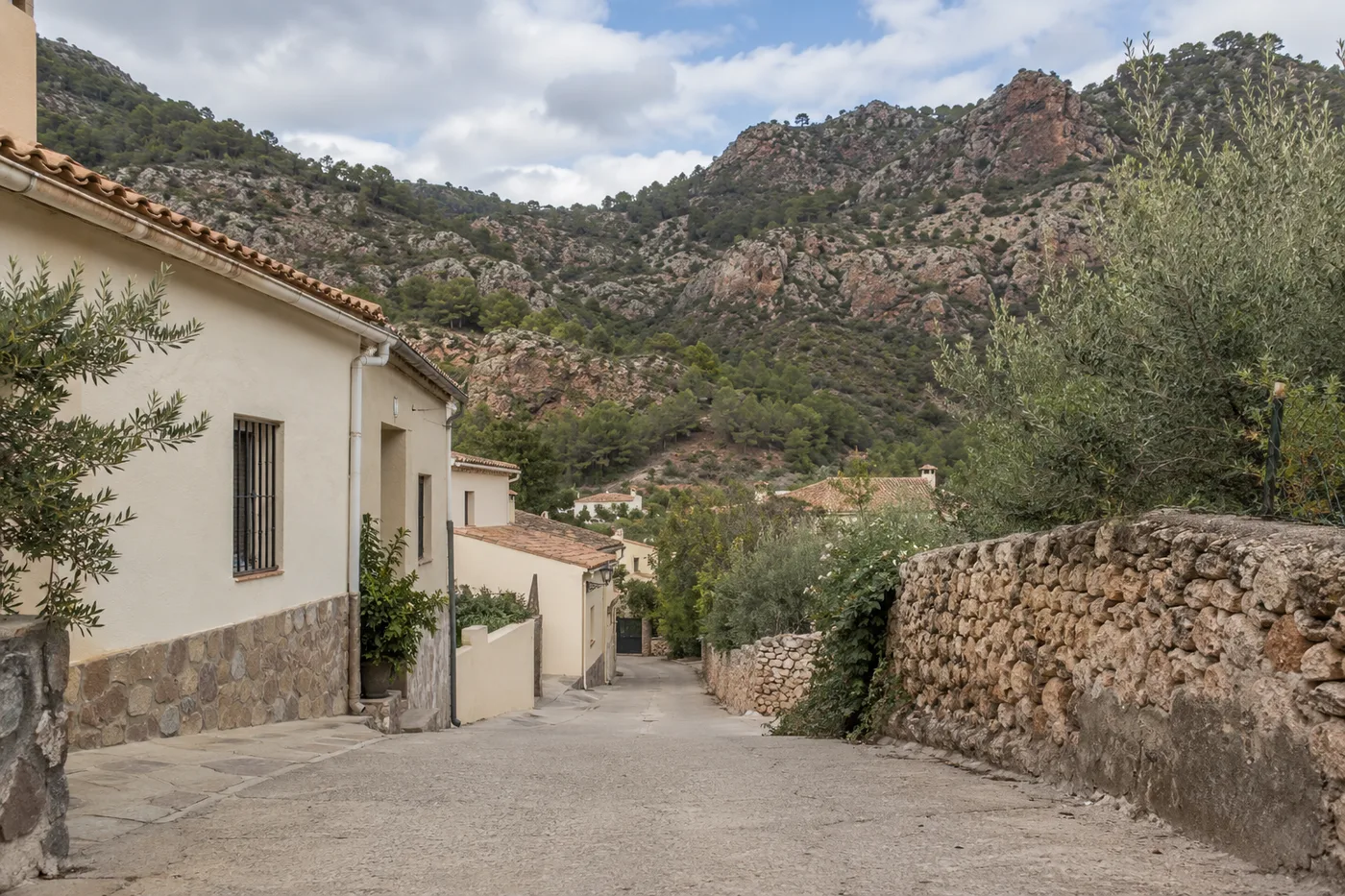 Olocau